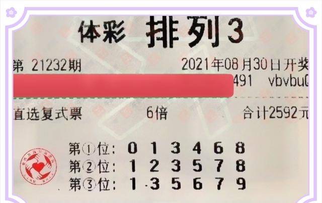 2024新奥门资料鸡号几号,探索新澳门，2024年澳门鸡号彩票展望