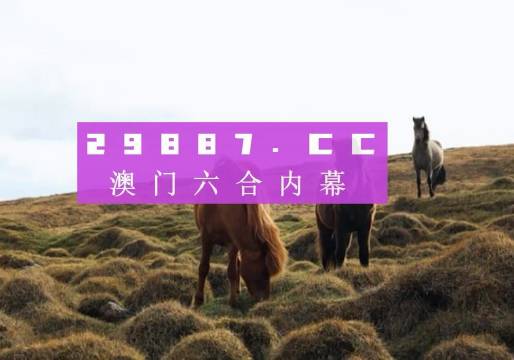 新澳门开奖结果 开奖结果,新澳门开奖结果，探索开奖数据的魅力