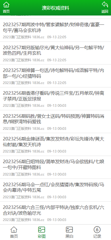 澳门二四六天天资料大全2023,澳门二四六天天资料大全2023，探索澳门的独特魅力与历史文化