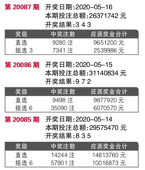 王中王开奖十记录网一,王中王开奖十记录网一，探索与解析